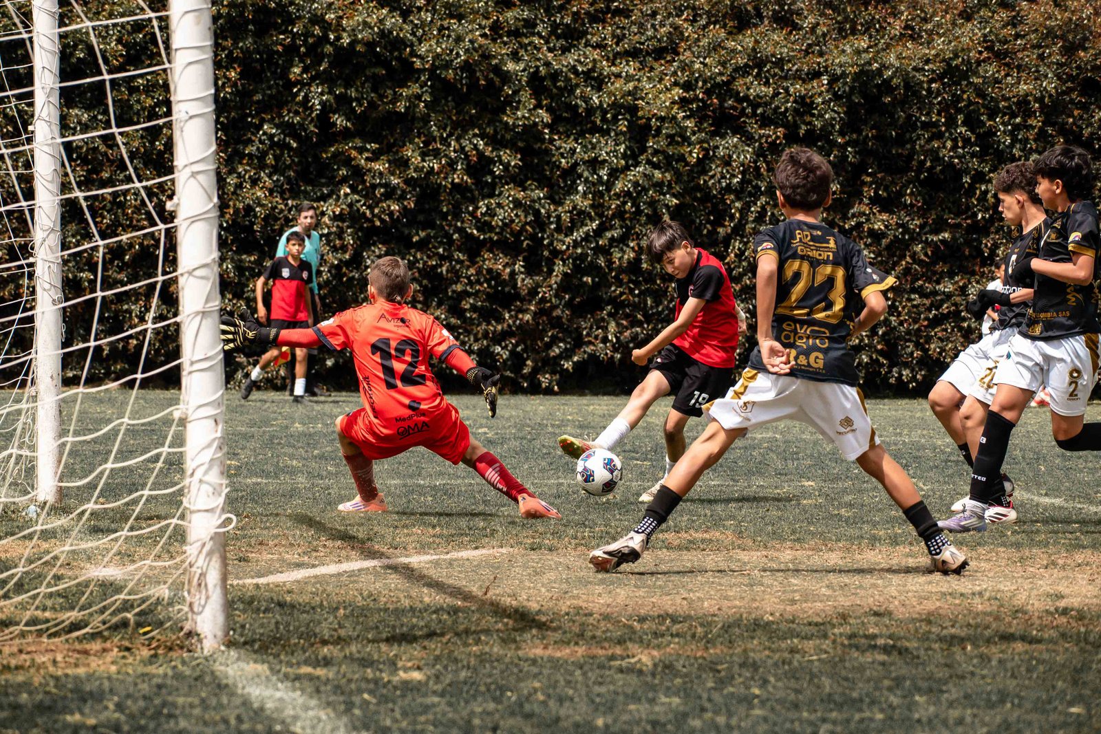 Deporte 1