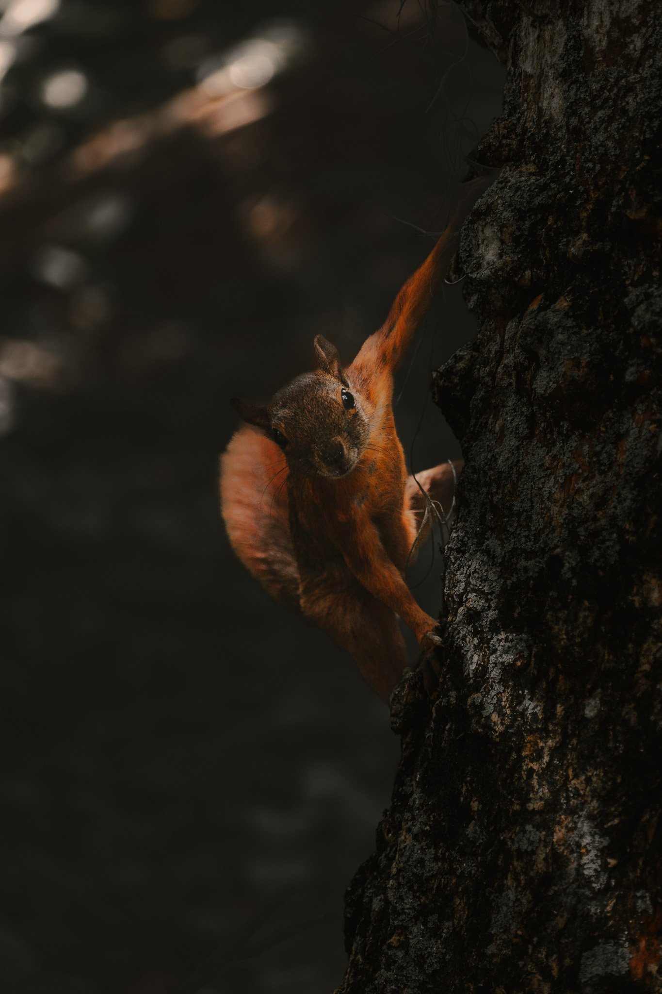 Naturaleza 2
