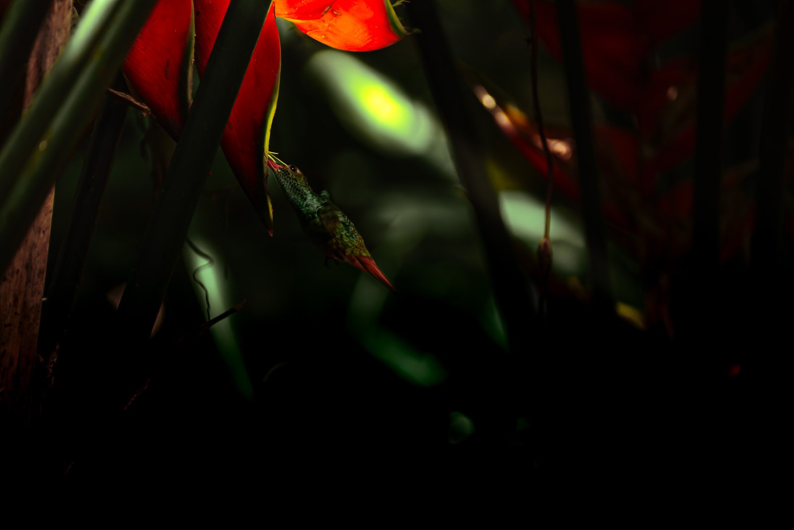 Naturaleza 3