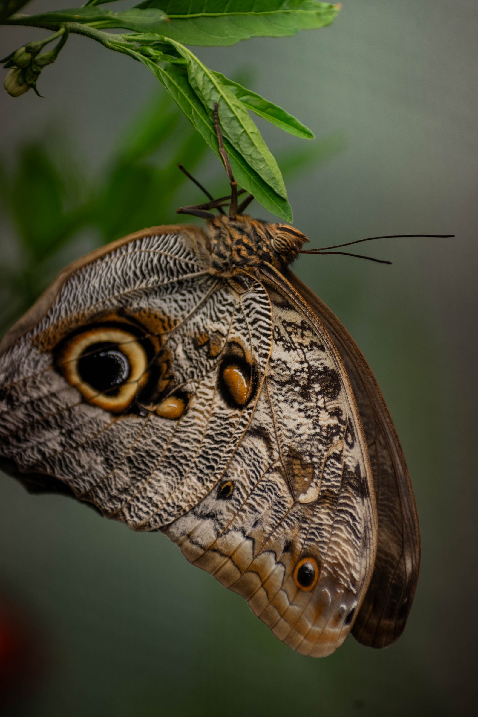 Naturaleza 6